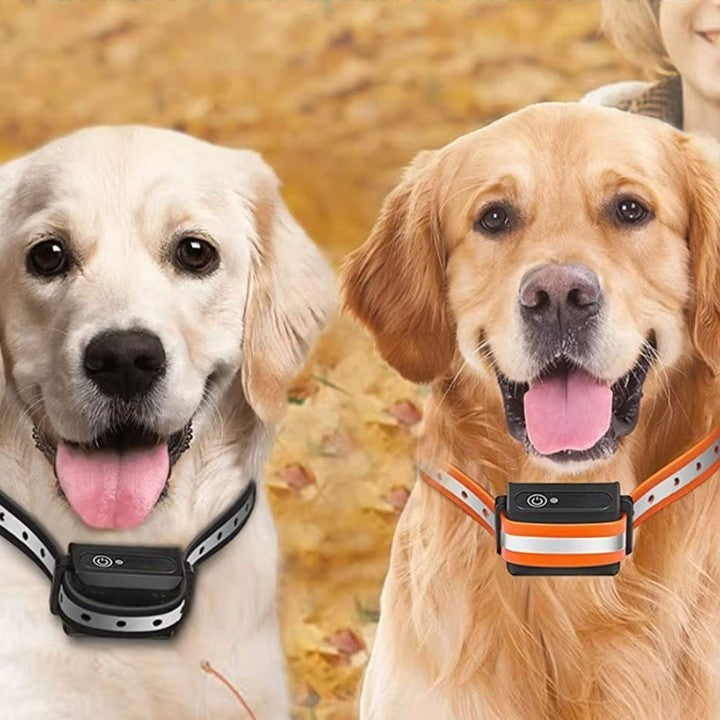 Dog collar with remote control up to 1000m - Finally relaxed walks 0