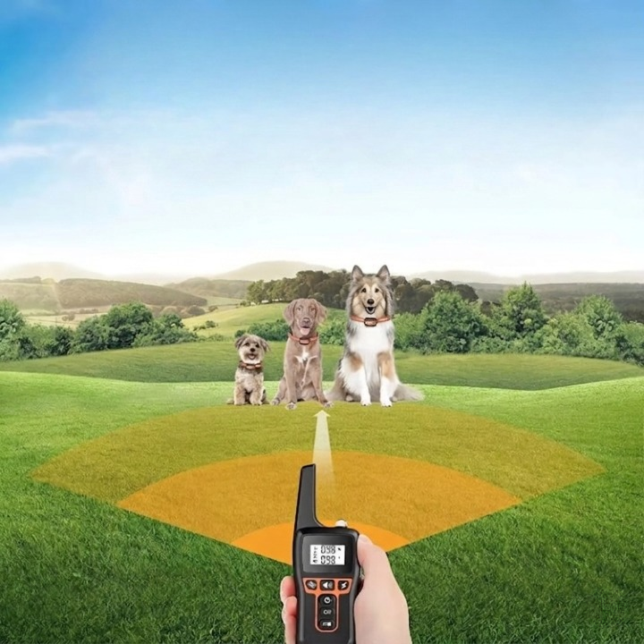 Dog collar with remote control up to 1000m - Finally relaxed walks 1