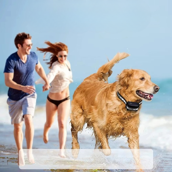 Dog collar with remote control up to 1000m - Finally relaxed walks 5
