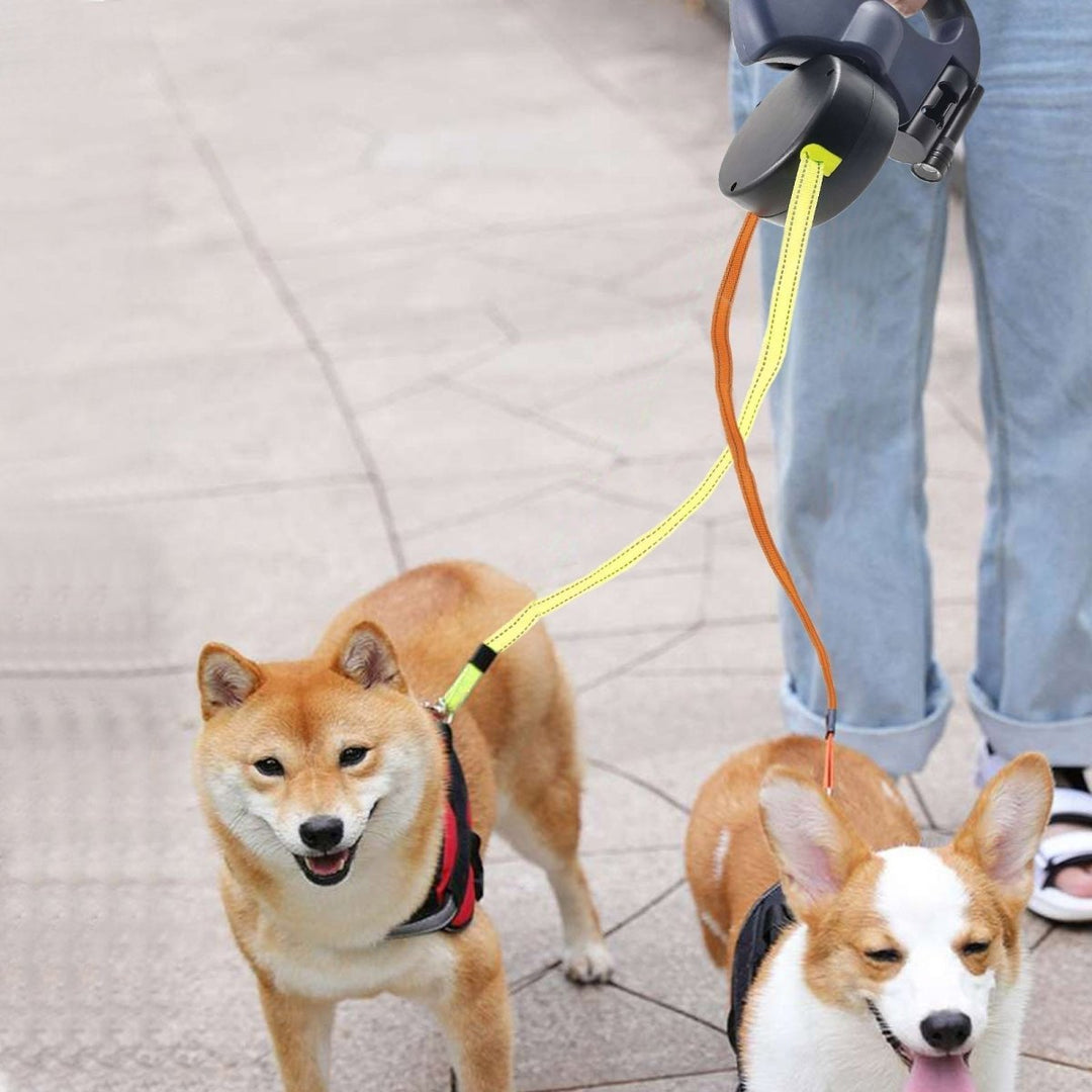 Double Retractable Dog Lead With LED Torch | Two Dogs Tangle Free 3m Each 5