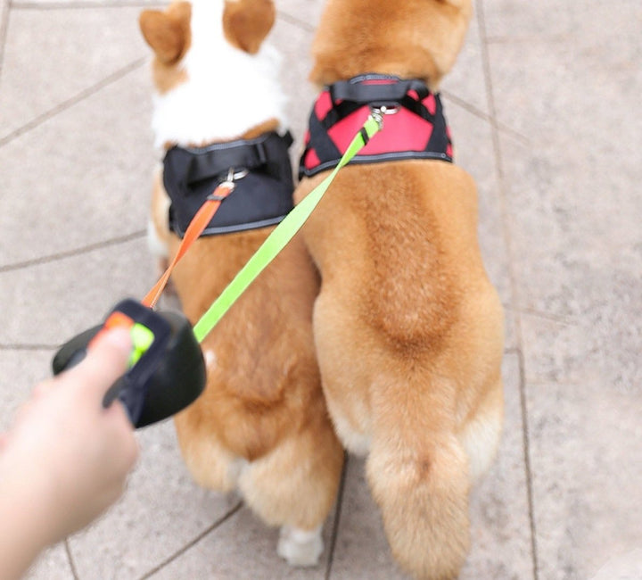 Double Retractable Dog Lead With LED Torch | Two Dogs Tangle Free 3m Each 6