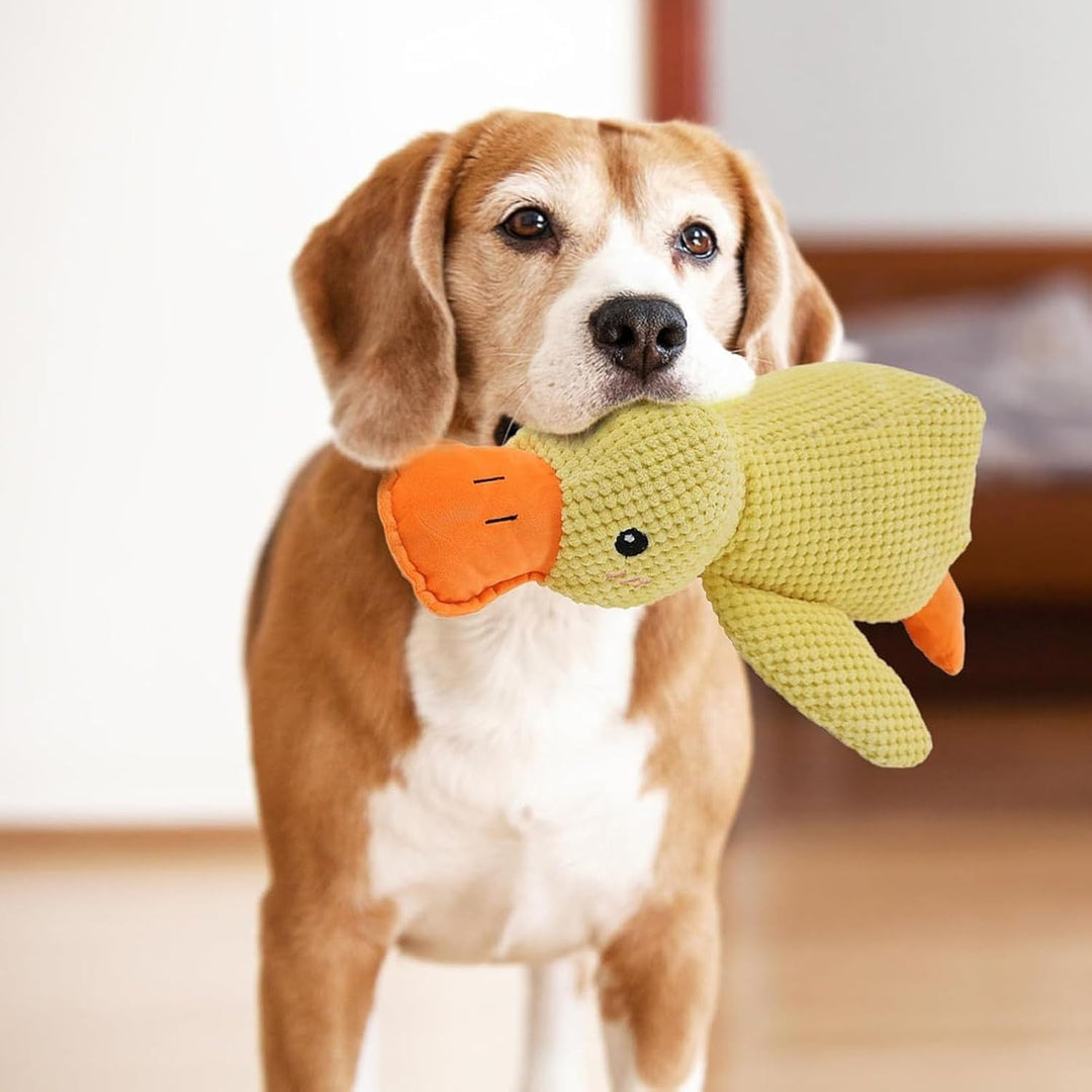 Duck Dog Durable Toy - Dog Calming Treats 0