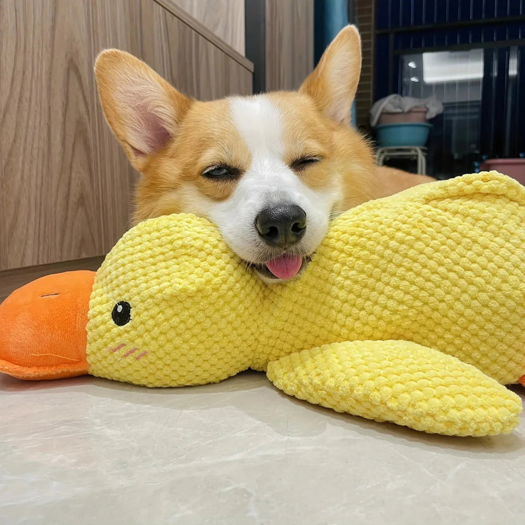 Duck Dog Durable Toy - Dog Calming Treats 2