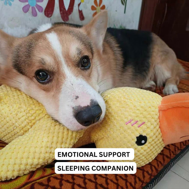 Duck Dog Durable Toy - Dog Calming Treats 4