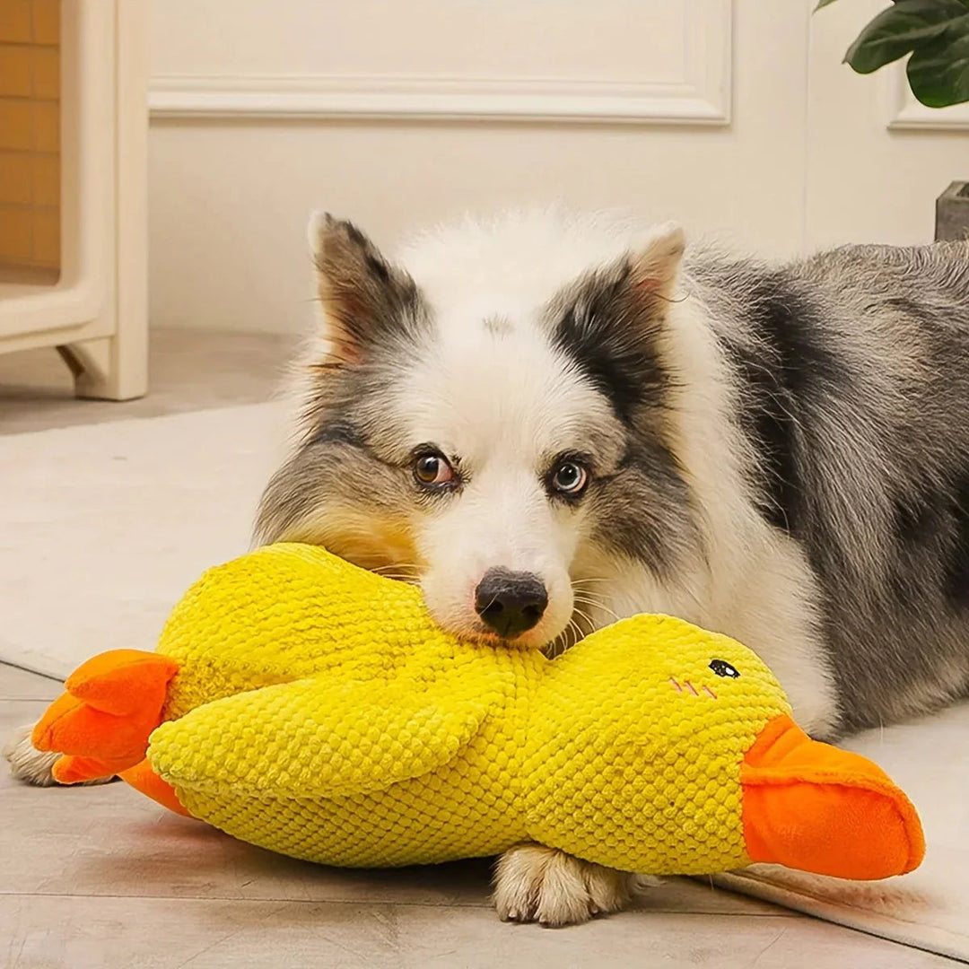 Duck Dog Durable Toy - Dog Calming Treats 5