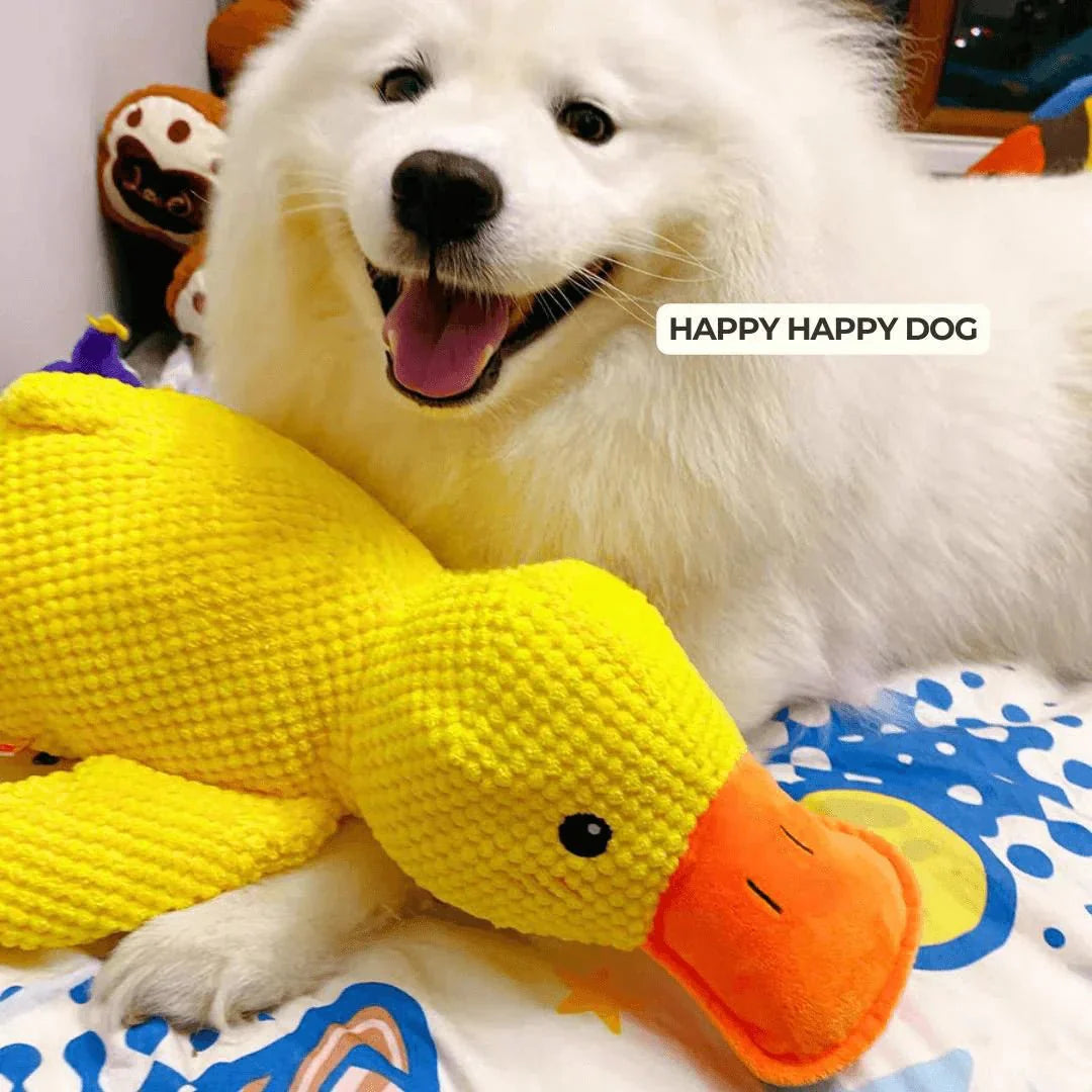 Duck Dog Durable Toy - Dog Calming Treats 6