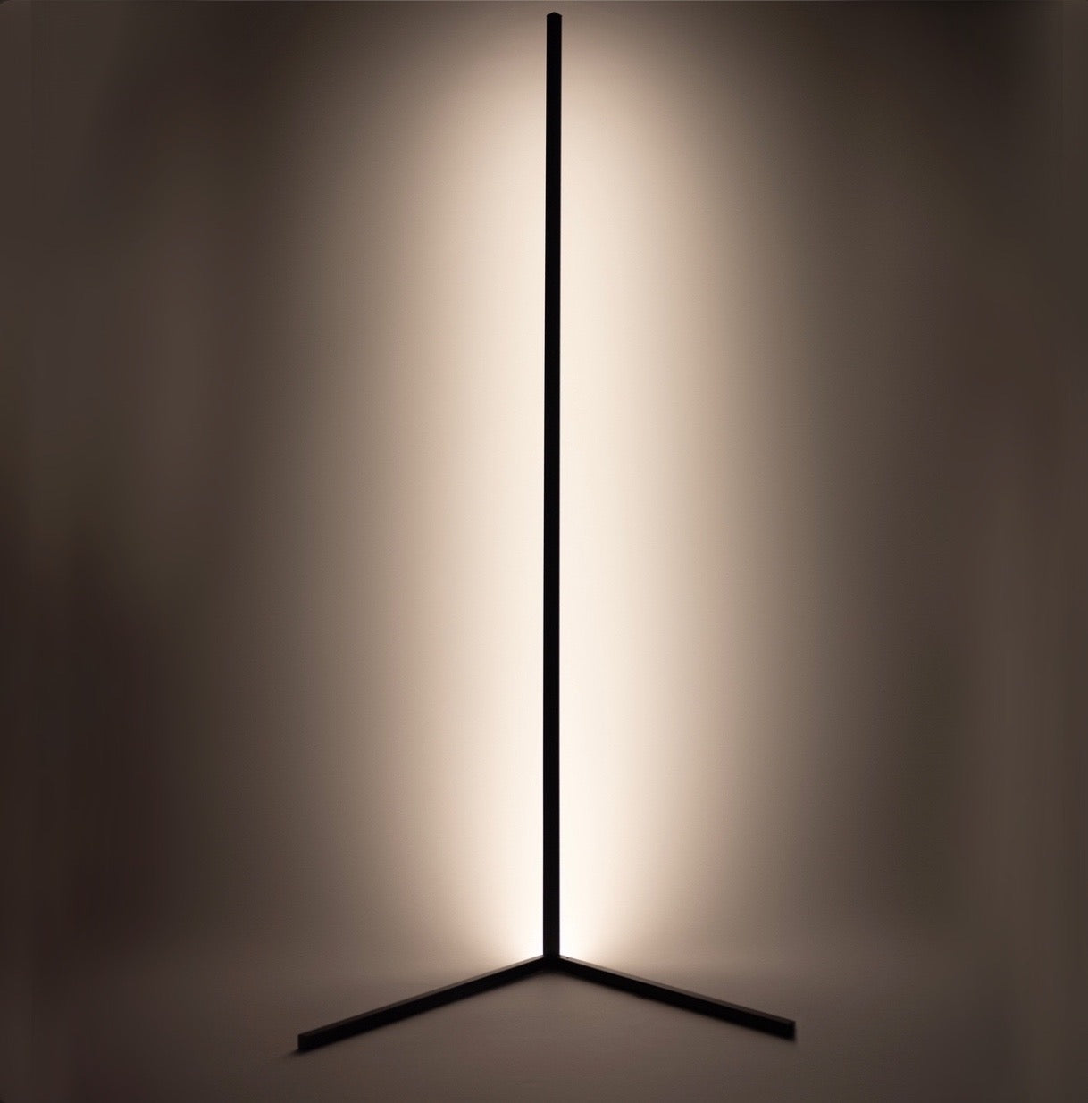 Elegant Floor Lamp | Modern Black Standing Lamp with Remote Control | Stylish Lighting for Living Room 0