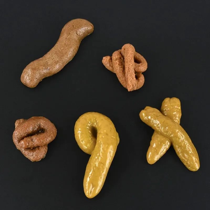 Fake Poop Prank Toy | Realistic Gag Gift for April Fools &amp; Halloween | Soft Squishy Reusable Novelty Party Prop