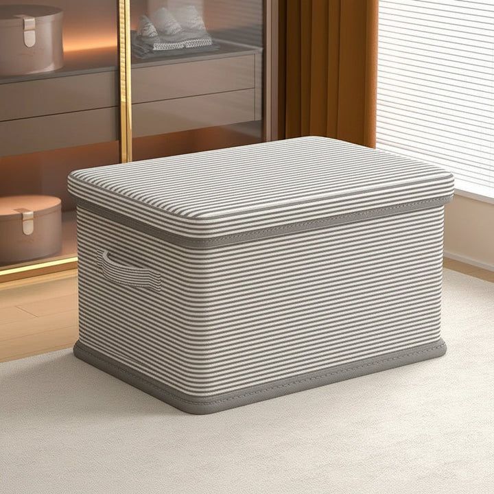 Foldable Storage Box with Lid Collapsible Indoor Organizer 3