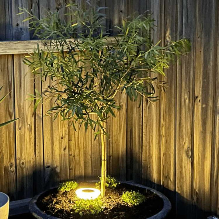 Garden Lights | Low Domed Bodies, Solar Panel On Top