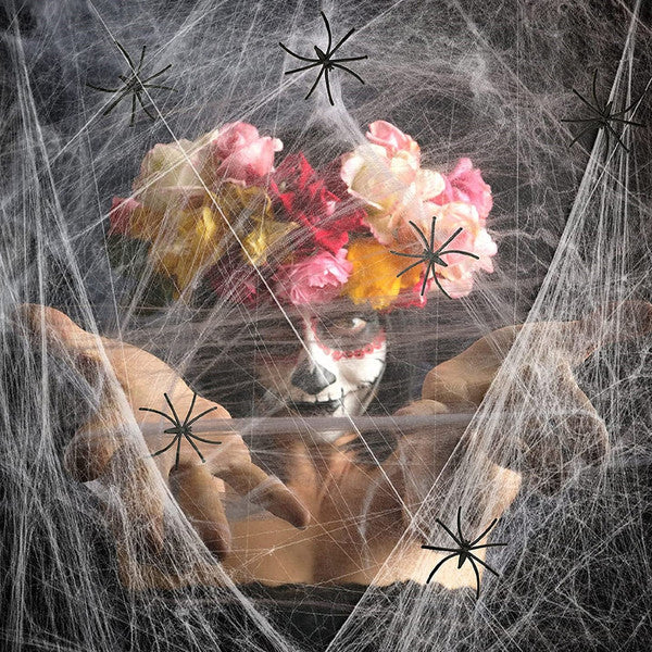 Halloween Spider Web Decoration | Stretchable Cobweb with Fake Spider Prop | Indoor and Outdoor Halloween Party Décor