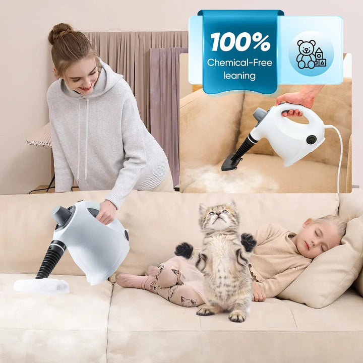 Handheld Steam Cleaner - Window Steam Cleaner 4