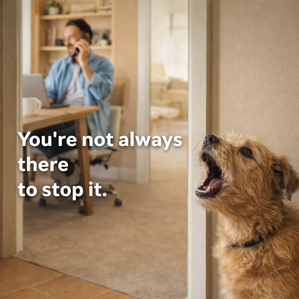 Hands-Free Automatic Bark Control | Continuous Ultrasonic Silencer for Day &amp; Night Home Use 4