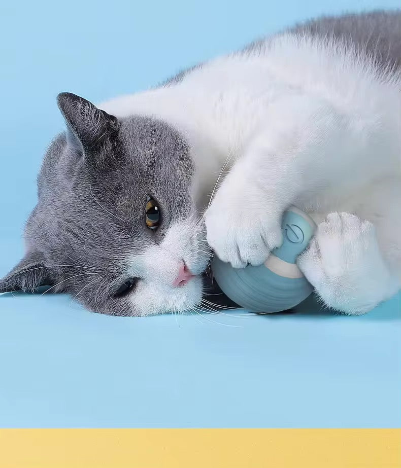 Interactive Cat Ball Toy | Automatic Random Movement & Light Vibration | Stimulates Play, Exercise and Curiosity 2