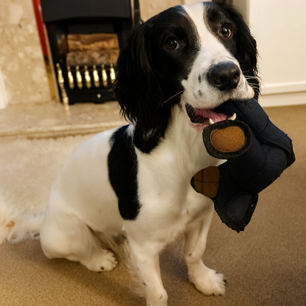 Dog Chew Toy Plush Bear Shape | Triple-Layered Chew-Resistant Fabric | Supports Dental Health and Gum Care During Play 1