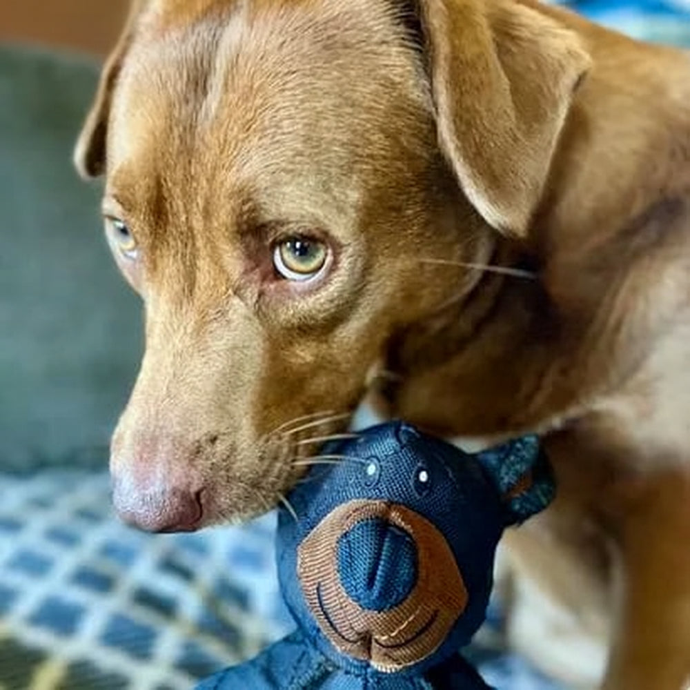 Dog Chew Toy Plush Bear Shape | Triple-Layered Chew-Resistant Fabric | Supports Dental Health and Gum Care During Play 4