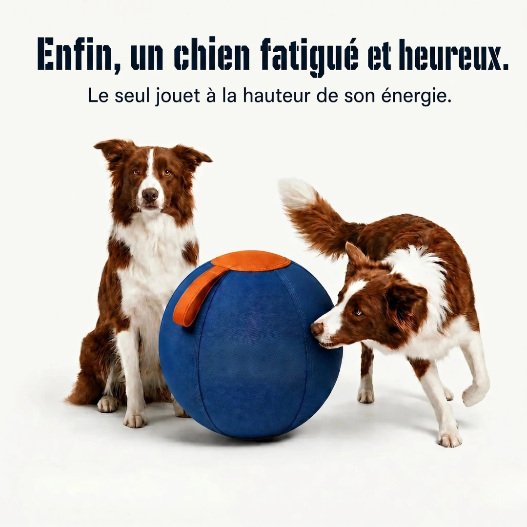 Interactive Dog Ball | Textured, Chew-Resistant Design for Active Play | Supports Daily Exercise and Reduces Boredom
