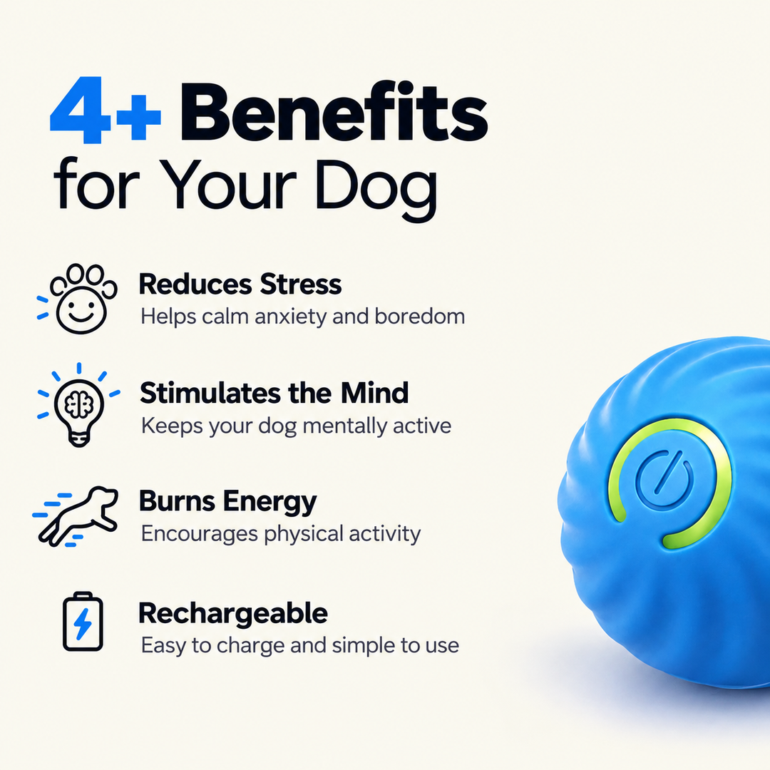 Interactive Dog Ball | Unpredictable Rolling Motion Keeps Dogs Mentally Engaged | Eases Boredom, Stress and Anxiety at Home