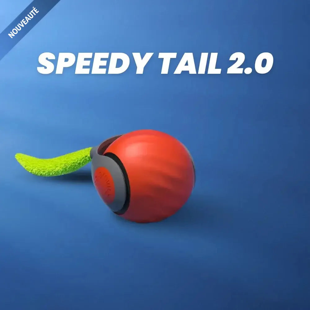 Interactive Motion Ball Pet Toy | Random-Moving Fabric Tail Mimics Prey | Rechargeable USB Battery, Silent Motor