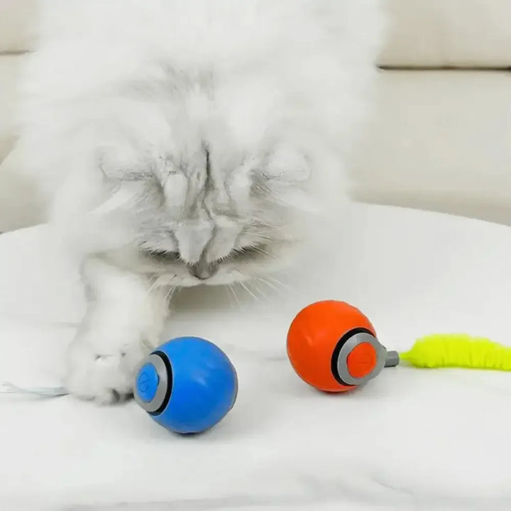 Interactive Motion Ball Pet Toy | Random-Moving Fabric Tail Mimics Prey | Rechargeable USB Battery, Silent Motor