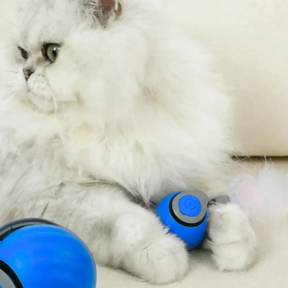 Interactive Motion Ball Pet Toy | Random-Moving Fabric Tail Mimics Prey | Rechargeable USB Battery, Silent Motor