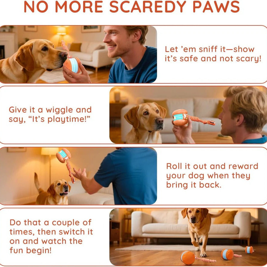 Interactive Rolling Dog Ball Toy | Motion Sensor, Two Speed Modes &amp; Rope Tug | Chew-Resistant, Auto Standby Mode
