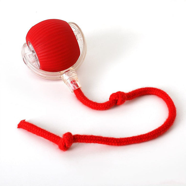 Interactive Tug Ball Dog Toy | Textured Rope Tail for Chewing &amp; Fetch | Supports Dental Health, Suitable for All Sizes
