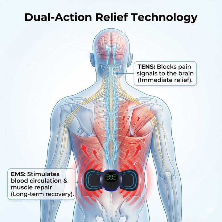 Lower Back TENS Machine &amp; EMS Back Pain Remedy - Portable Pain Reliever for Back Spasm, Strain &amp; Sprain - Active Support Belt Alternative - 19 Levels 3