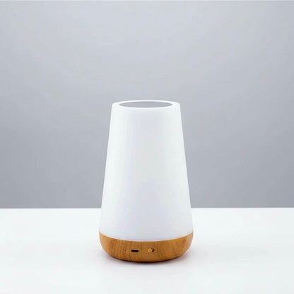 Compact LED night light with touch control