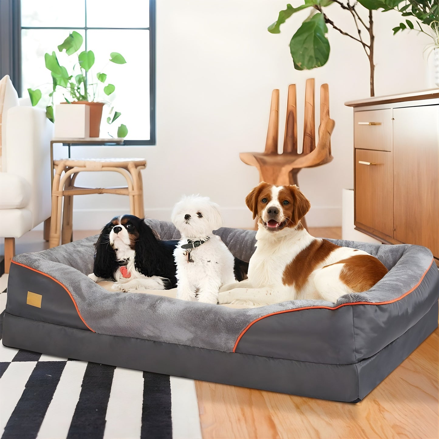 Luna's Place | Large Orthopedic Dog Bed with High-Density Memory Foam | Supportive Design for Joint Relief 2