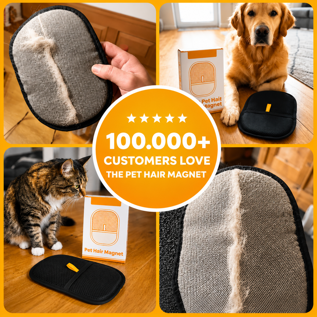 Magnetic Pet Hair Remover Brush | Reusable, No Refills Needed | Removes Fur from Clothes, Sofas, Car Seats &amp; More