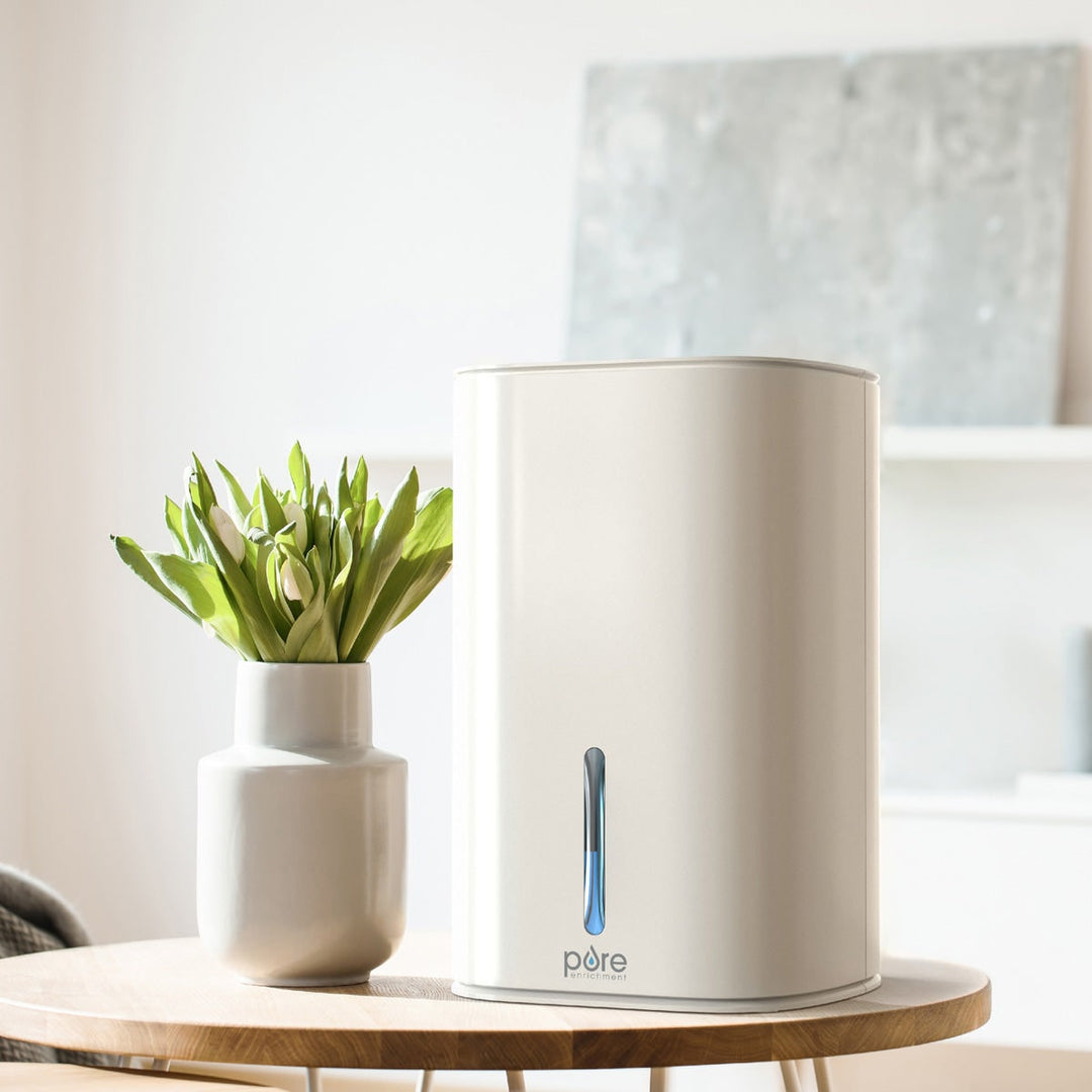 Mini Dehumidifier Compact Plastic Housing | Removable Translucent Tank | Reduces Damp in Bathrooms, Bedrooms & Basements