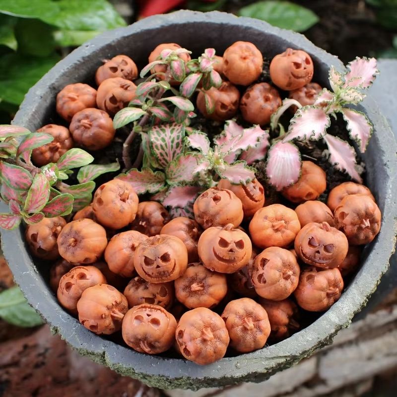 Mini Resin Pumpkin Set Halloween Fall Decor | 20 Piece Set for Tables &amp; Shelves | Reusable Resin Craft Pumpkins