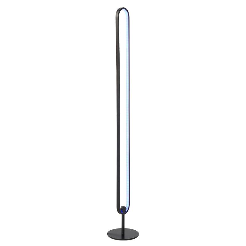 Modern Floor Lamp with Adjustable Brightness & Color Temperature | Black Standing Lamp for Eco-Friendly Lighting 6