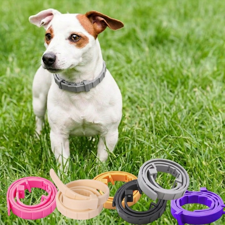 Natural Flea &amp; Tick Collar for Dogs &amp; Cats – 8 Months Protection, Waterproof 2