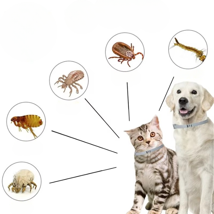 Natural Flea &amp; Tick Collar for Dogs &amp; Cats – 8 Months Protection, Waterproof 8