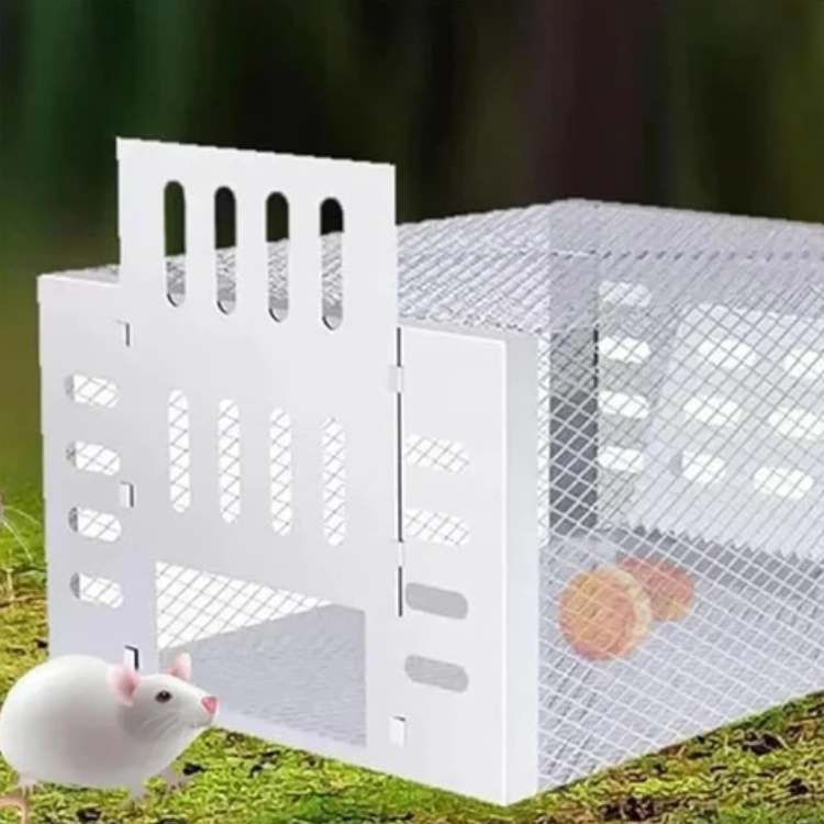 NoEscape Mouse Trap Galvanized Steel Mesh | Humane One-Way Door | Rustproof, Reusable, No-Kill Design for Home