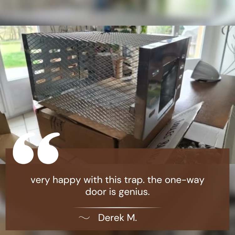 NoEscape Mouse Trap Galvanized Steel Mesh | Humane One-Way Door | Rustproof, Reusable, No-Kill Design for Home