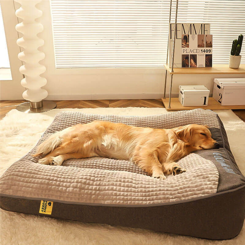 Orthopaedic Memory Foam Dog Bed | Raised Headrest & Removable Velvet Cover | Supports Joints for a Deeper, More Restful Sleep