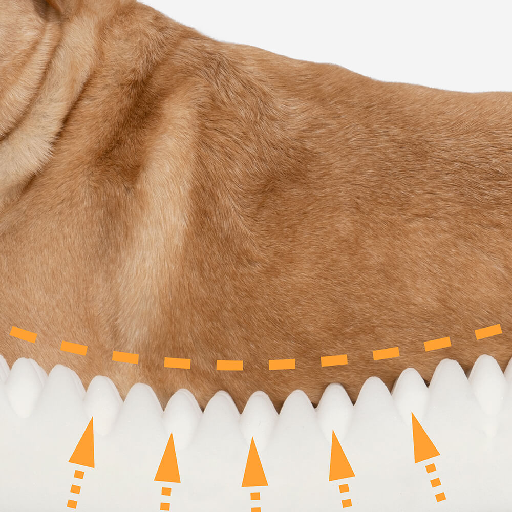 Orthopedic Dog Bed | Waterproof Layer | Removable Washable Cover | Cotton Fleece &amp; Velveteen | M, L &amp; XL