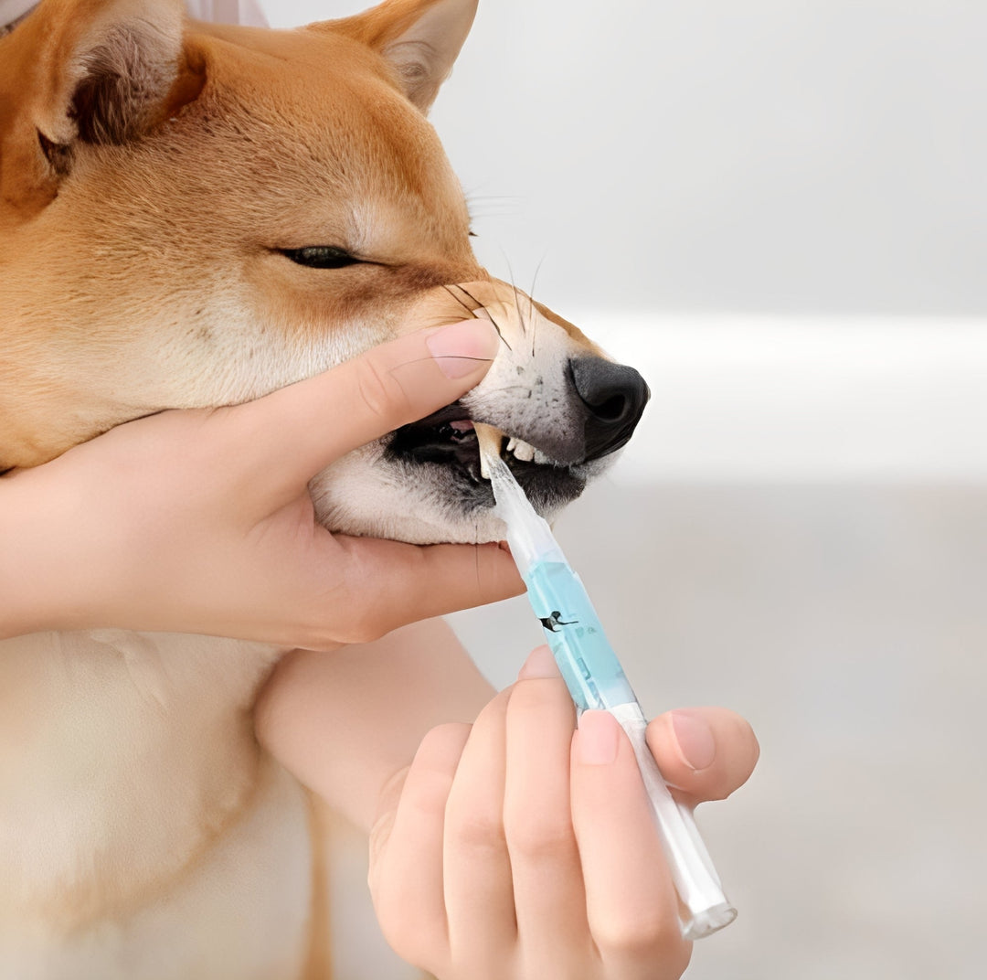 Plant-Based Pet Teeth Cleaning Liquid Mint Aloe Vera Enzyme