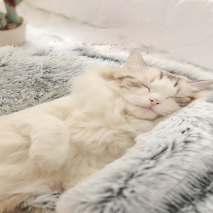Plush Bed for Dogs and Cats | Cozy Cave Design