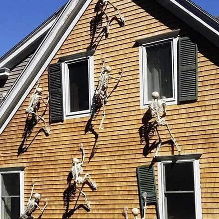 Posable Skeleton Halloween Prop | Full-Body Jointed Bones | Lightweight Plastic for Indoor &amp; Outdoor Halloween Use