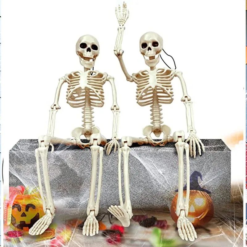 Posable Skeleton Halloween Prop | Full-Body Jointed Bones | Lightweight Plastic for Indoor &amp; Outdoor Halloween Use