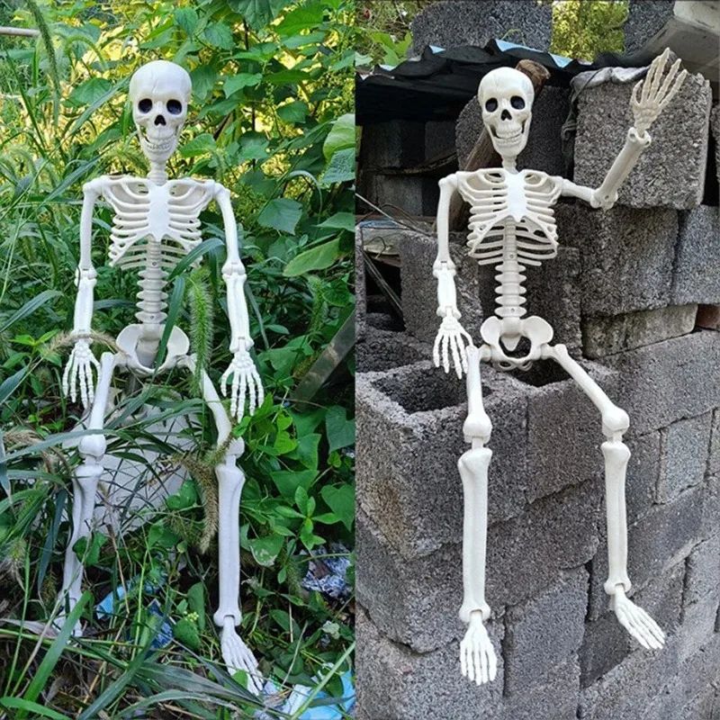 Posable Skeleton Halloween Prop | Full-Body Jointed Bones | Lightweight Plastic for Indoor & Outdoor Halloween Use