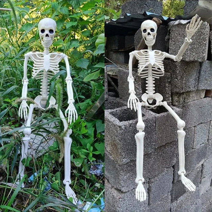 Posable Skeleton Halloween Prop | Full-Body Jointed Bones | Lightweight Plastic for Indoor &amp; Outdoor Halloween Use