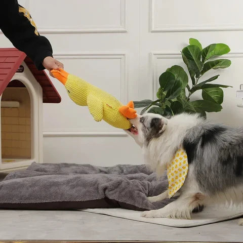 Duck Dog Durable Toy | Squeaky Textured Comfort Duck