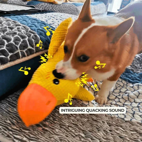 Duck Dog Durable Toy | Squeaky Textured Comfort Duck