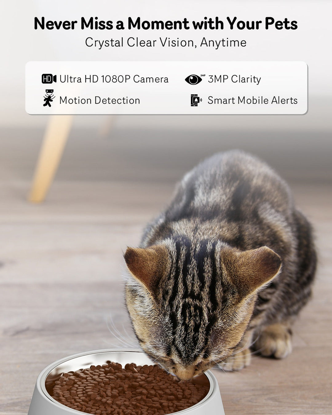 Smart Pet Series | Automatic Cat Feeder with 1080P HD Camera | App-Controlled | 4L