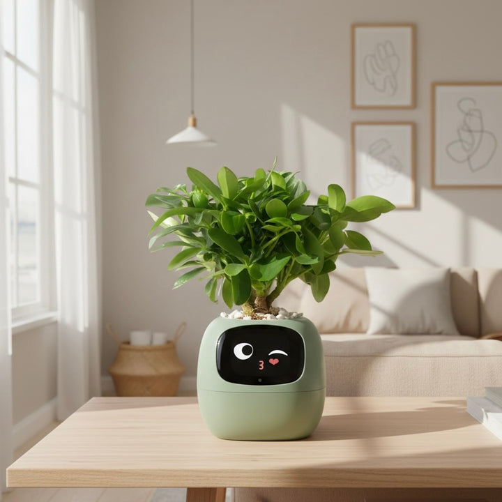 Smart Plant Pot | Self-Watering Flower Pot with App &amp; Emoji Alerts